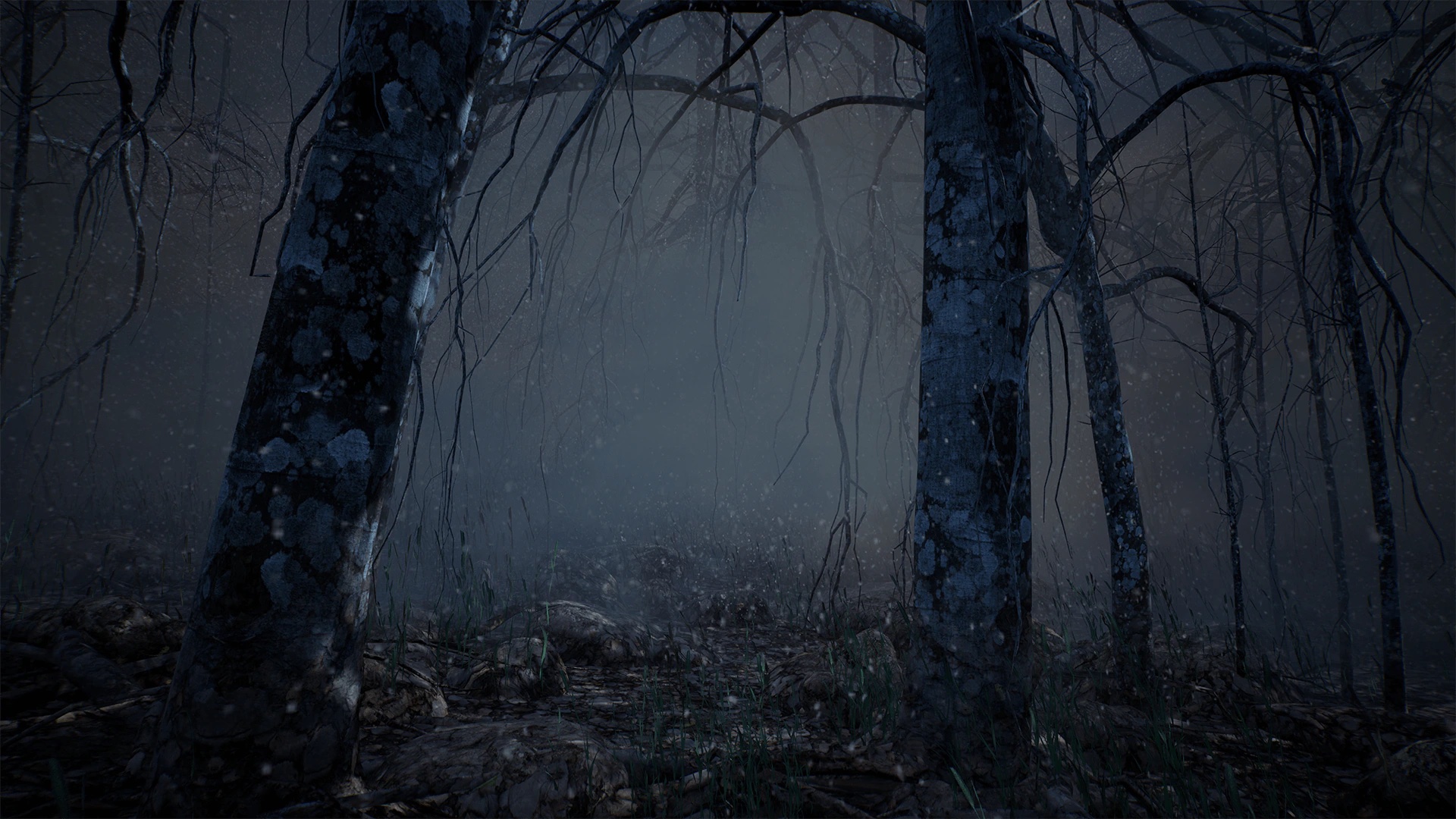 Foggy Forest Virtual Set - SoFlo Studio